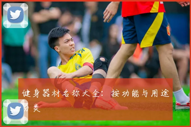 健身器材名称大全:按功能与用途分类