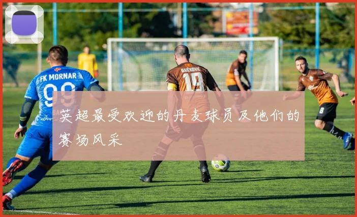 英超最受欢迎的丹麦球员及他们的赛场风采