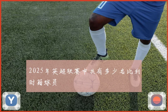 2025年英超联赛中共有多少名比利时籍球员