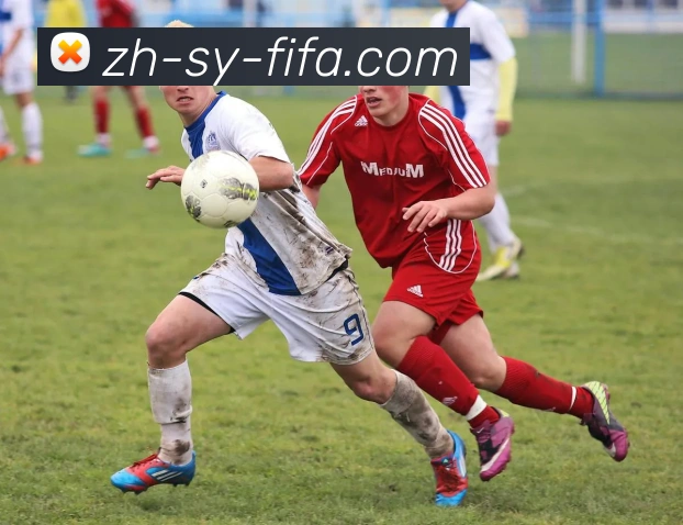 多媒体互动体验