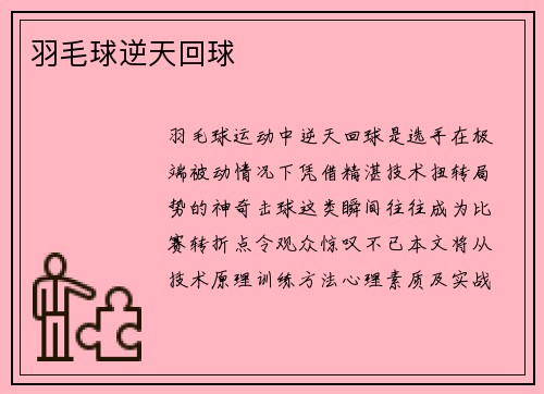 羽毛球逆天回球